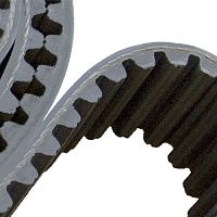 Toothed belt MEGAPAINTrubberindustrialfor conveyor belts