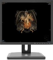 Diagnostic display 19X1Cradiology1280 x 1024VGA