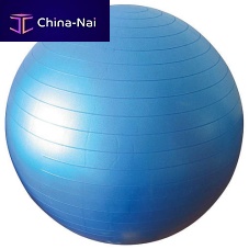 Large size Pilates ball Physioworxadult