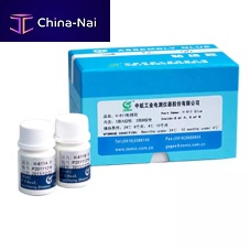 Polysulfide adhesive H-611glassfor metaltwo-component