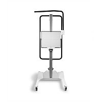 Potter-Bucky on casters with flat panel detector