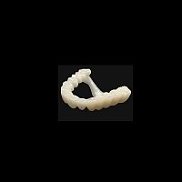 Zirconia dental prosthesis lower incisorremovable