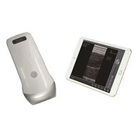 Hand-held veterinary ultrasound system UProbe-2Bmultipurposefor felineswireless probe