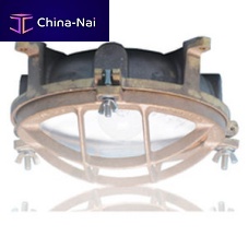 Indoor ceiling light ProGuard 1440/1449/br for shipswith incandescent bulb