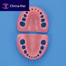 Gingival model PDI2001-GUL-SPtrainingchild