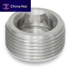 Blanking plug GN 252.5roundthreadedstainless steel