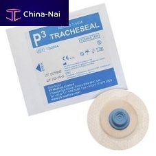 Wound dressing TS0004