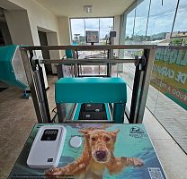 Underwater veterinary treadmill for dogs