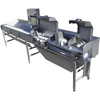 Sardine heading gutting machines for herringsmall fish