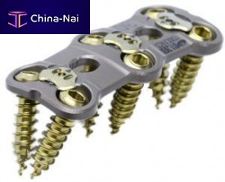 Cervical arthrodesis plate VAN GOGHlockingmetallic2 levels