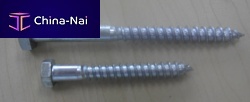 Wood screw DIN571with hexagonal head