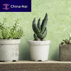 Decorative paint ANTICANDO outdoorfor indoor usefor wall