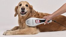Veterinary biostimulation laser PowerTwin XP5diodehand-held