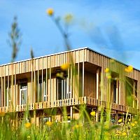 Pine facade system wengebirchspruce
