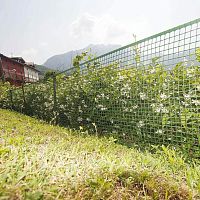 High-density polyethylene wire mesh QUADRA 20for fencingfor balconysquare mesh
