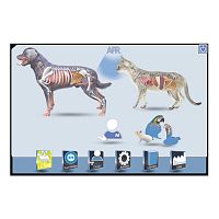 Veterinary radiology software for controlskeletonlower limb