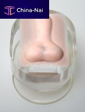 Orchiectomy simulator NEUTERveterinarycaninepenis