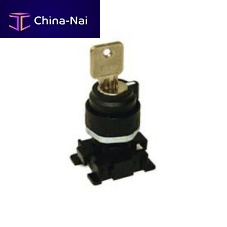 Key lock switch RT201N SELETTORE selectormultipoleround