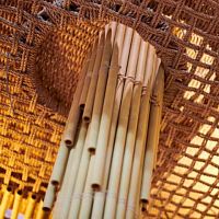 Composite decorative panel VIROBAMBOObamboofor interiorfor ceiling