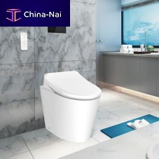 Electronic toilet E554free-standingceramicrimless