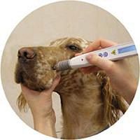 Veterinary biostimulation laser veterinary acupuncturediodetabletop