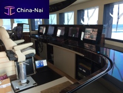 Integrated bridge system DMP