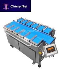 Weighing system TY-ZHZ121P160-01-13
