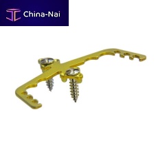 Palatal plate PalaFix