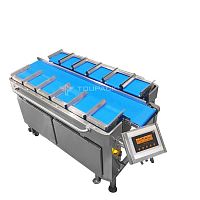 Weighing system TY-ZHZ121P160-01-13