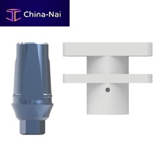 Titanium implant abutment plasticinternalexternal