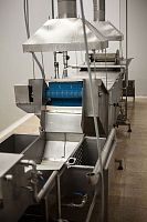 Continuous industrial cooker for fishshrimpwith cooler