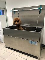 Floor-mounted grooming bathtub