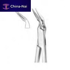 Parodontics forceps 1220Stieglitzbent