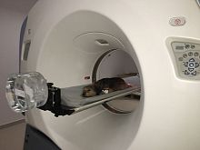Veterinary CT scanner