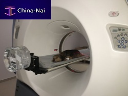 Veterinary CT scanner