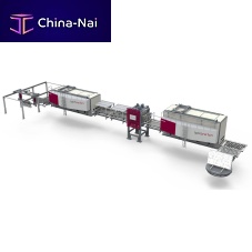 Stone slab surface treatment machine ion