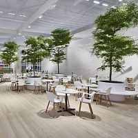 Hotel indoor garden