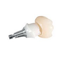 Titanium implant abutment ANKYLOS® TitaniumBaseinternalstraight