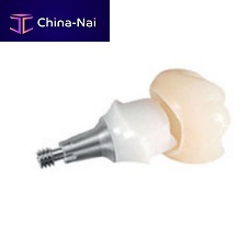 Titanium implant abutment ANKYLOS® TitaniumBaseinternalstraight
