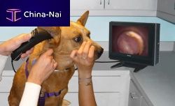 Video veterinary otoscope Tele-View® TV-200Xwith speculum