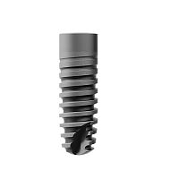Cylindrical dental implant Ankylostitaniuminternalscrew