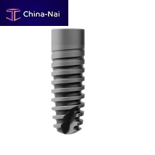 Cylindrical dental implant Ankylostitaniuminternalscrew