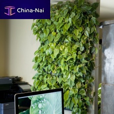 Green wall with live plants LivePanel PACKmodular-panelnaturalindoor