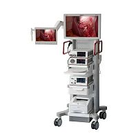 Endoscopy column RIWOmobil