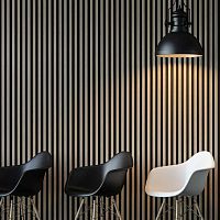 WPC wall-covering ULTRASHIELD TWIXstructurewood lookhome