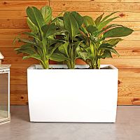 Polypropylene planter MARBELLA rectangularwheeledcontemporary