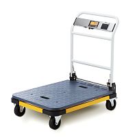 Platform scale Go-300digitalmobile