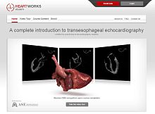 Echocardiography software trainingweb-based