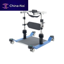 Balance rehabilitation system corocomputer-assisted