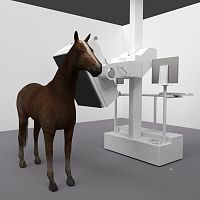Veterinary CT scanner for equines